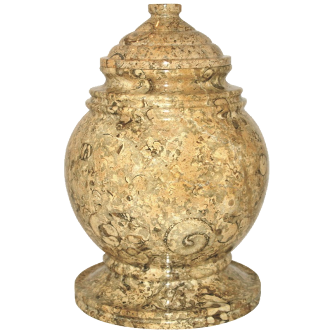 Princess Fossil Stone Adult