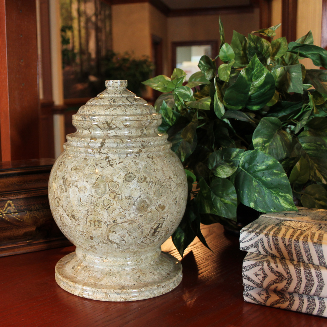 Princess Fossil Stone Adult