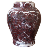 Embrace Red Zebra Adult