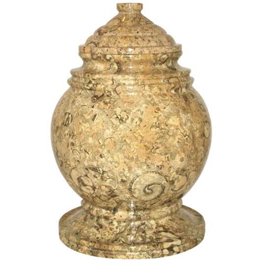 Princess Fossil Stone Adult