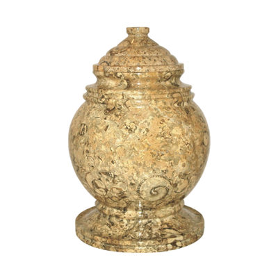 Princess Fossil Stone Adult