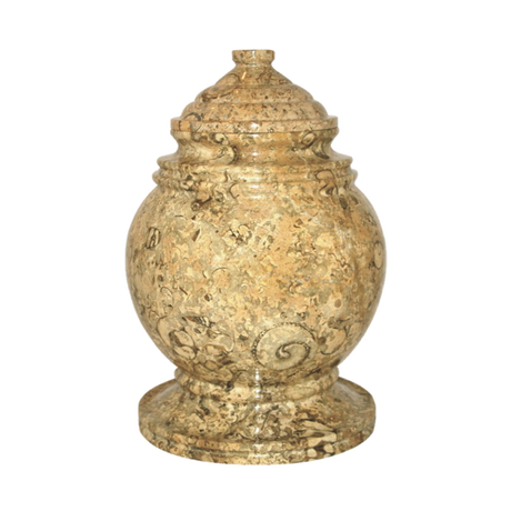 Princess Fossil Stone Adult