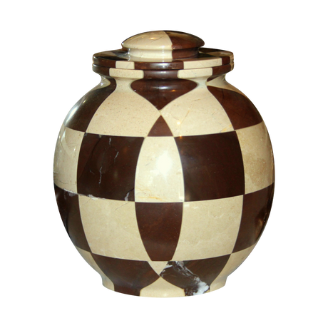 Triumph Cameo/Chocolate Adult