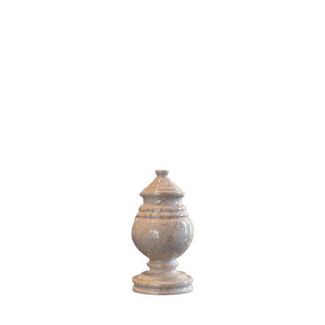 Princess Cameo Memento