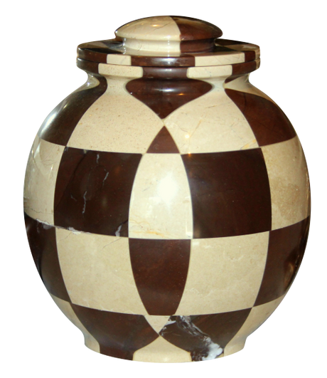 Triumph Cameo/Chocolate Adult